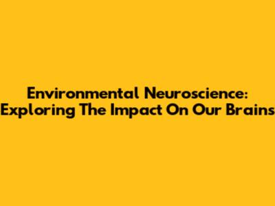 Environmental Neuroscience: Exploring The Impact On Our Brains