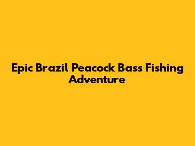 Epic Brazil Peacock Bass Fishing Adventure