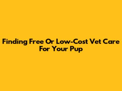 Finding Free Or Low-Cost Vet Care For Your Pup