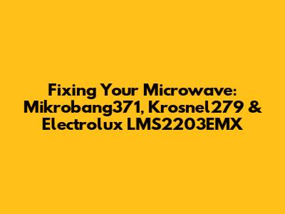 Fixing Your Microwave: Mikrobang371, Krosnel279 & Electrolux LMS2203EMX