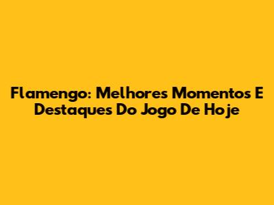 Flamengo: Melhores Momentos E Destaques Do Jogo De Hoje