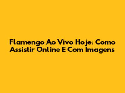 Flamengo Ao Vivo Hoje: Como Assistir Online E Com Imagens