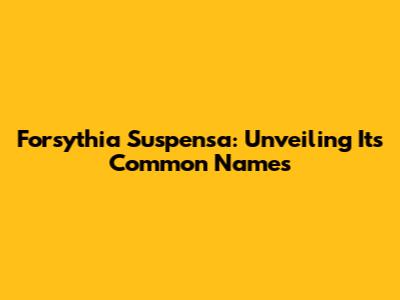 Forsythia Suspensa: Unveiling Its Common Names