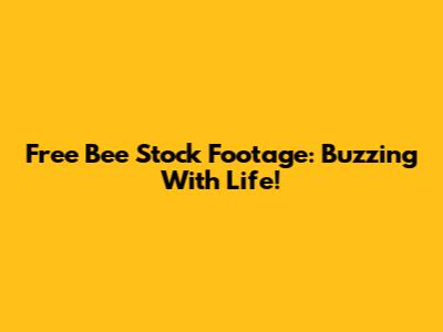 Free Bee Stock Footage: Buzzing With Life!