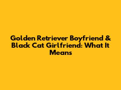 Golden Retriever Boyfriend & Black Cat Girlfriend: What It Means