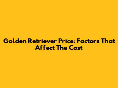 Golden Retriever Price: Factors That Affect The Cost