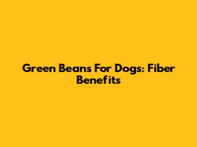 Green Beans For Dogs: Fiber Benefits