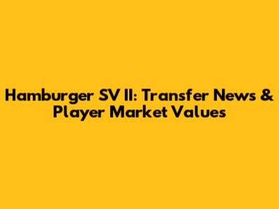 Hamburger SV II: Transfer News & Player Market Values