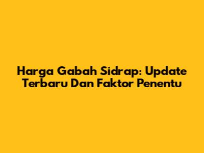 Harga Gabah Sidrap: Update Terbaru Dan Faktor Penentu