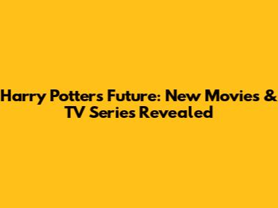 Harry Potter's Future: New Movies & TV Series Revealed