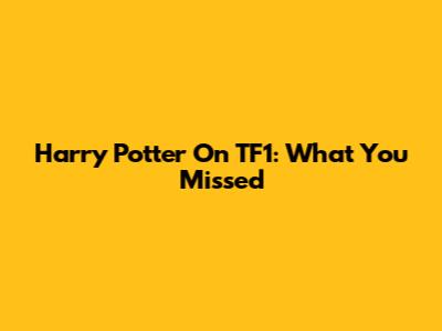 Harry Potter On TF1: What You Missed