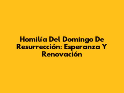 Homilía Del Domingo De Resurrección: Esperanza Y Renovación