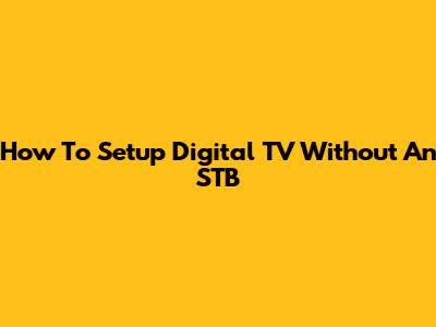 How To Setup Digital TV Without An STB