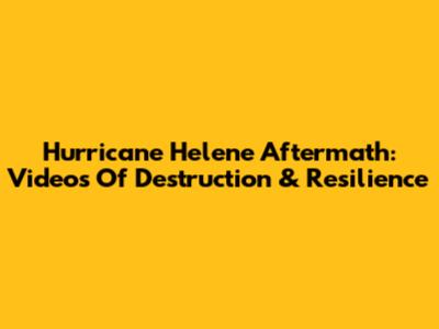 Hurricane Helene Aftermath: Videos Of Destruction & Resilience