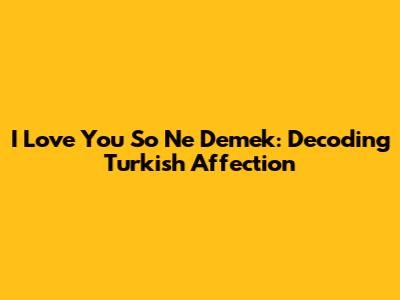 I Love You So Ne Demek: Decoding Turkish Affection
