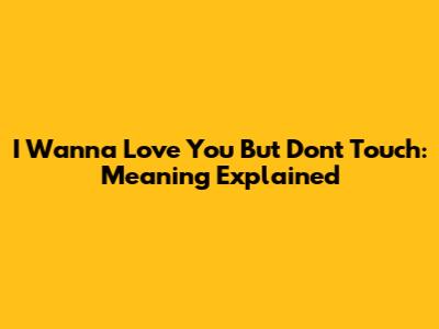 I Wanna Love You But Don't Touch: Meaning Explained