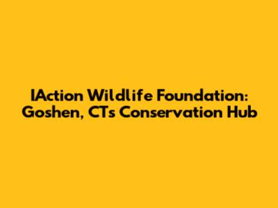 IAction Wildlife Foundation: Goshen, CT's Conservation Hub
