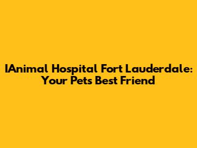 IAnimal Hospital Fort Lauderdale: Your Pet's Best Friend