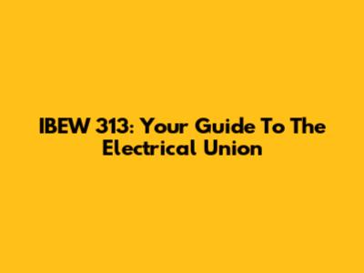 IBEW 313: Your Guide To The Electrical Union
