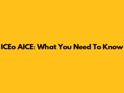ICEo AICE: What You Need To Know
