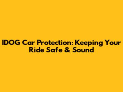 IDOG Car Protection: Keeping Your Ride Safe & Sound