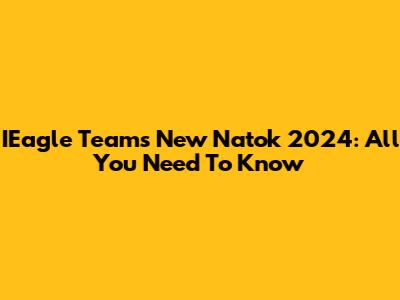 IEagle Team's New Natok 2024: All You Need To Know