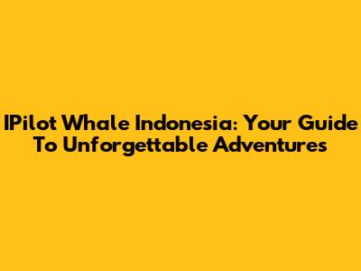IPilot Whale Indonesia: Your Guide To Unforgettable Adventures