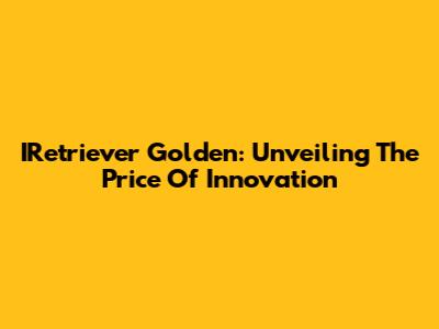 IRetriever Golden: Unveiling The Price Of Innovation