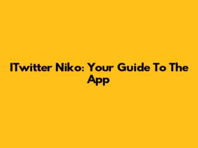 ITwitter Niko: Your Guide To The App