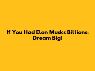 If You Had Elon Musk's Billions: Dream Big!