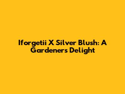 Iforgetii X Silver Blush: A Gardener's Delight