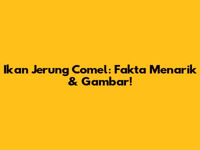 Ikan Jerung Comel: Fakta Menarik & Gambar!