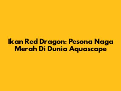 Ikan Red Dragon: Pesona Naga Merah Di Dunia Aquascape