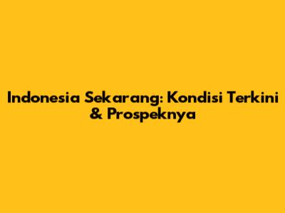 Indonesia Sekarang: Kondisi Terkini & Prospeknya