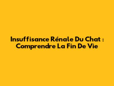Insuffisance Rénale Du Chat : Comprendre La Fin De Vie