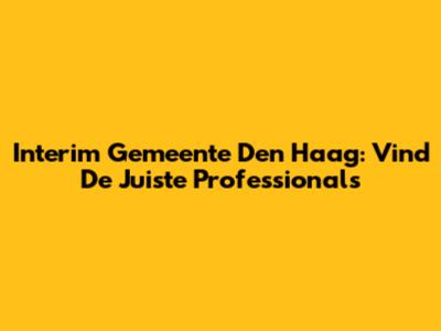 Interim Gemeente Den Haag: Vind De Juiste Professionals