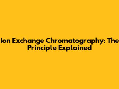 Ion Exchange Chromatography: The Principle Explained