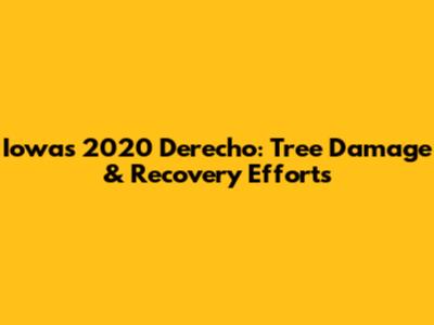 Iowa's 2020 Derecho: Tree Damage & Recovery Efforts