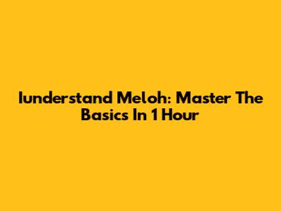 Iunderstand Meloh: Master The Basics In 1 Hour