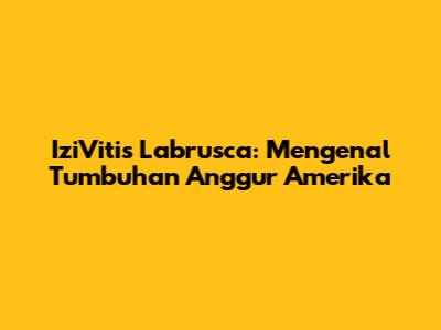 IziVitis Labrusca: Mengenal Tumbuhan Anggur Amerika