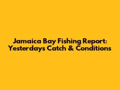 Jamaica Bay Fishing Report: Yesterday's Catch & Conditions
