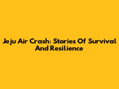Jeju Air Crash: Stories Of Survival And Resilience