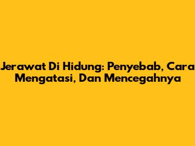 Jerawat Di Hidung: Penyebab, Cara Mengatasi, Dan Mencegahnya