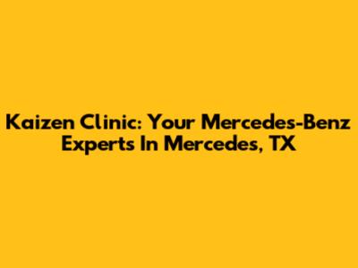 Kaizen Clinic: Your Mercedes-Benz Experts In Mercedes, TX