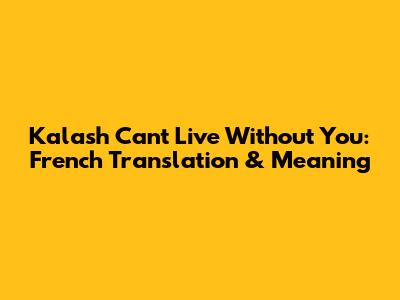 Kalash "Can't Live Without You": French Translation & Meaning
