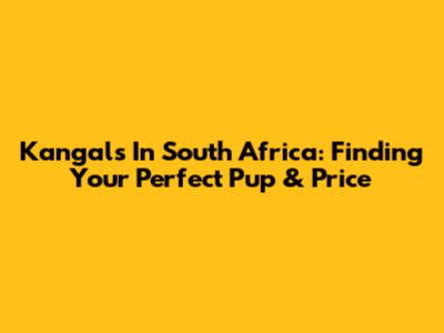Kangals In South Africa: Finding Your Perfect Pup & Price