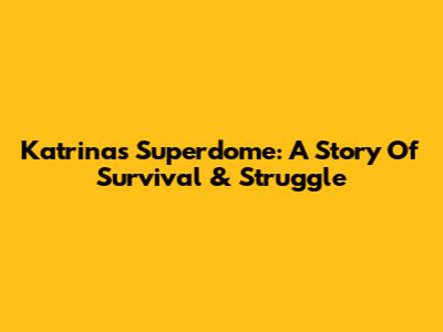 Katrina's Superdome: A Story Of Survival & Struggle