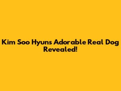 Kim Soo Hyun's Adorable Real Dog Revealed!