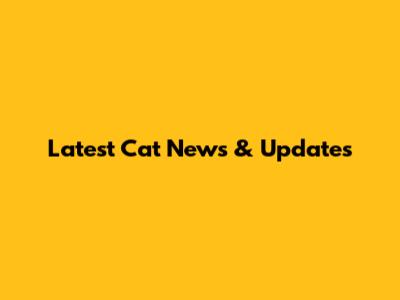 Latest Cat News & Updates