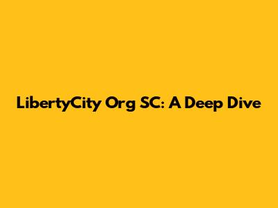 LibertyCity Org SC: A Deep Dive